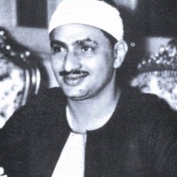 Mohamed Siddiq al-Minshawi